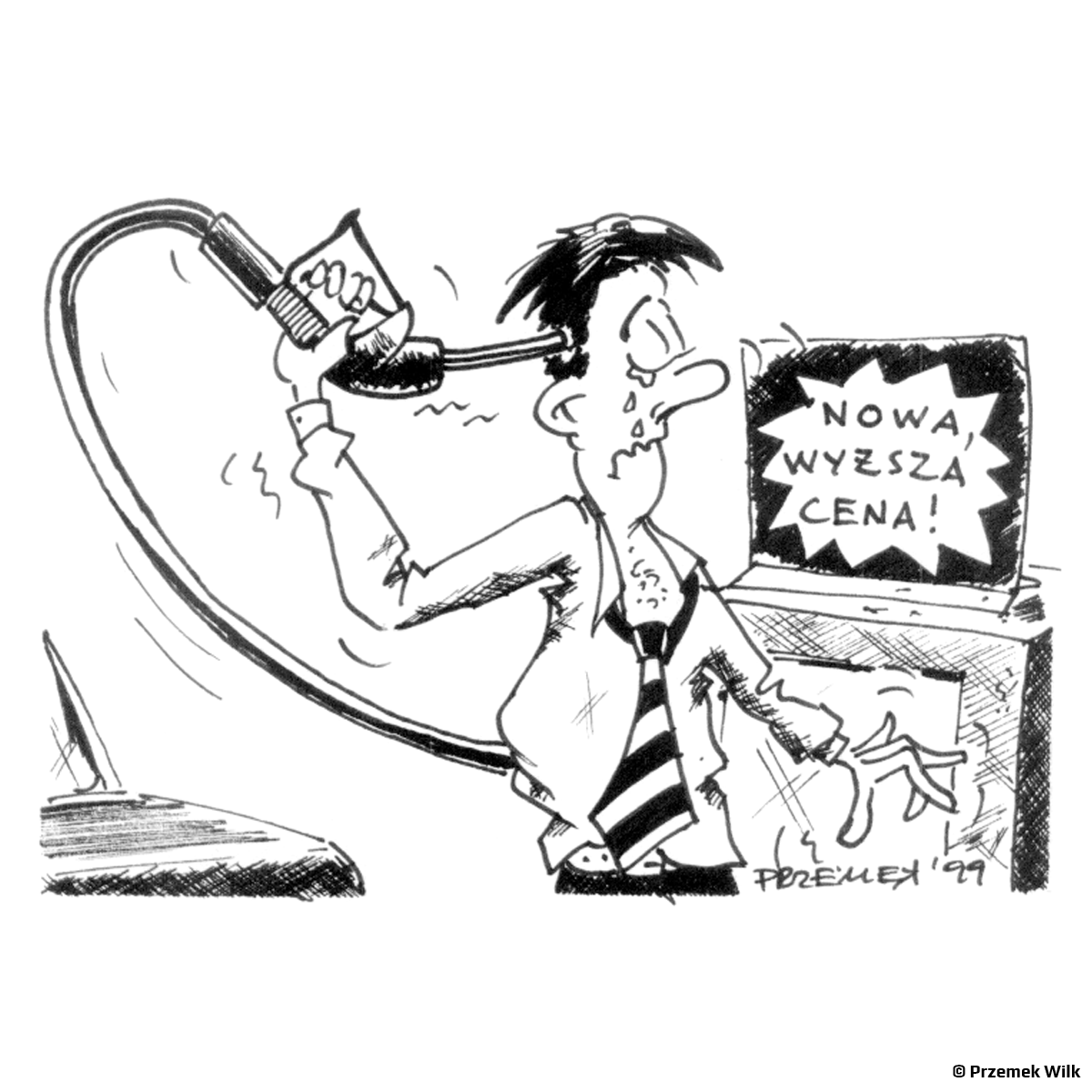 &copy; Przemek Wilk - 