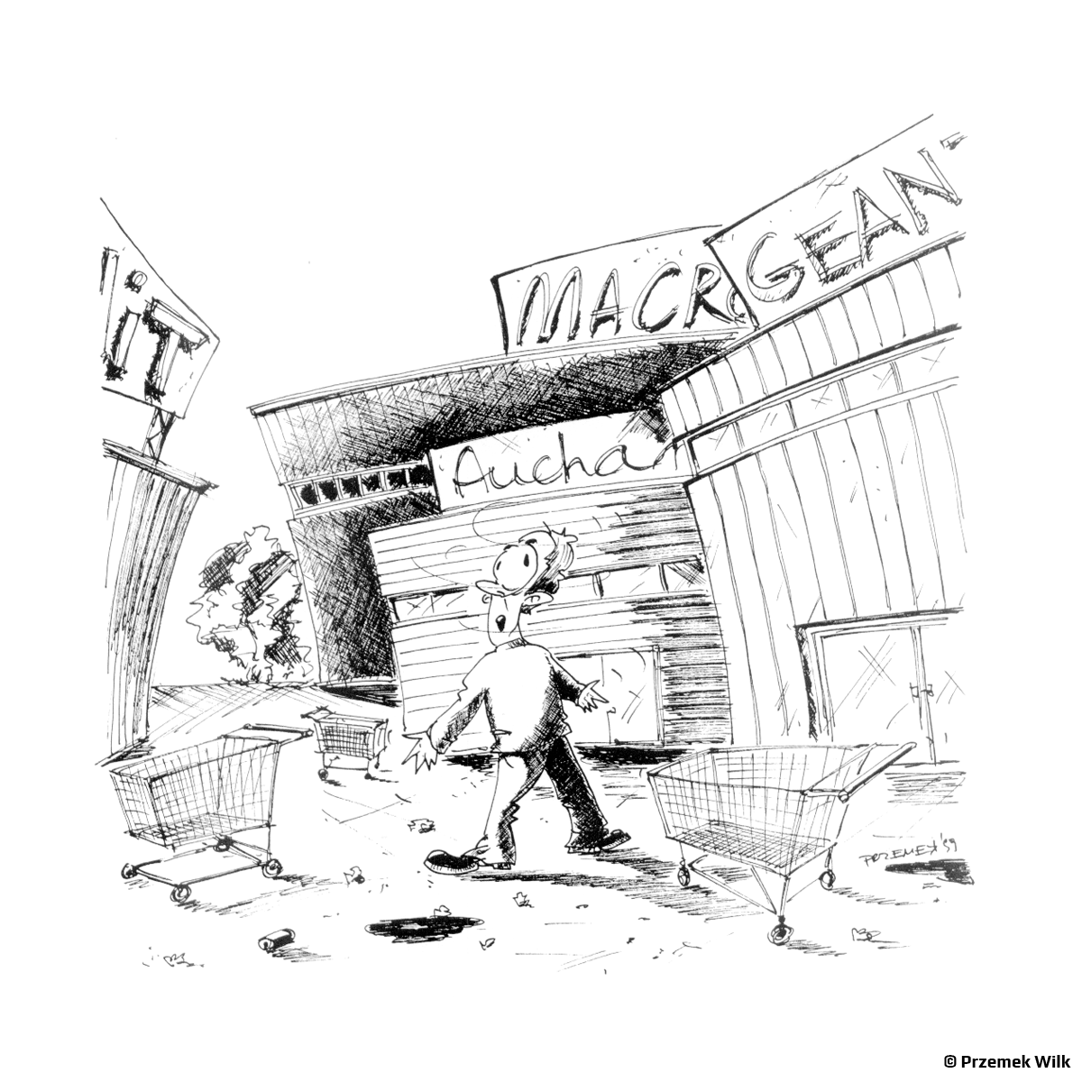 &copy; Przemek Wilk - 